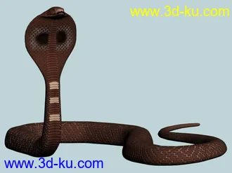 3D打印模型眼睛王蛇的图片