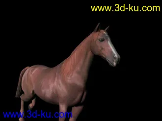 3D打印模型奔跑的野马的图片