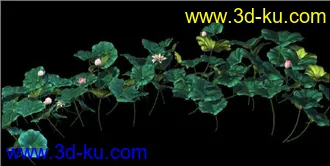 3D打印模型荷花.荷叶.有贴图有骨骼绑定动画的哦的图片