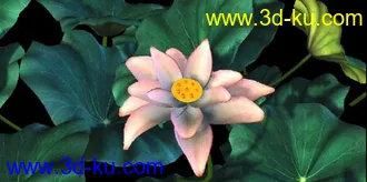 3D打印模型荷花.荷叶.有贴图有骨骼绑定动画的哦的图片