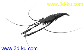 3D打印模型小龙虾的图片