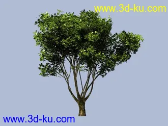 3D打印模型树，高模的图片