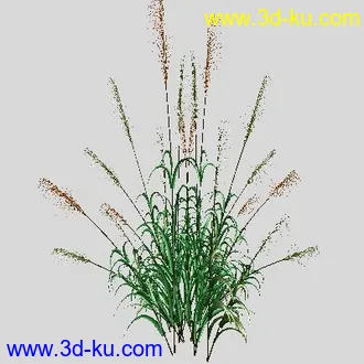 3D打印模型很漂亮的野草-高模的图片