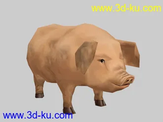 3D打印模型可爱的小猪猪的图片