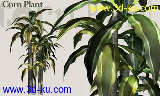 一套很漂亮的精细植物模型的图片