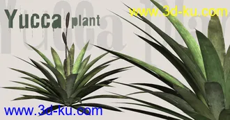 一套很漂亮的精细植物模型的图片