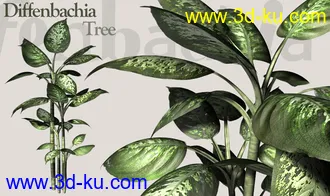一套很漂亮的精细植物模型的图片