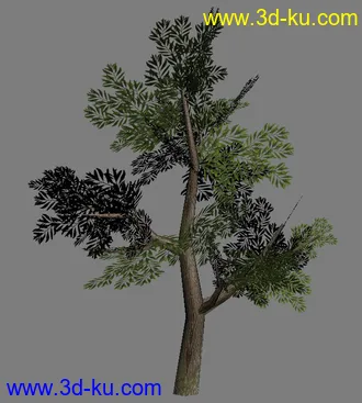 3D打印模型自己做的低模树的图片