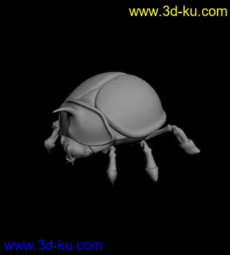3D打印模型甲虫的图片