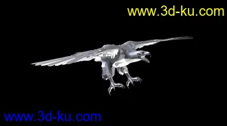 鹰模型下载的图片