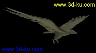 鹰模型下载的图片