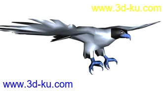 鹰模型下载的图片