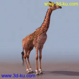 3D打印模型长颈鹿的图片