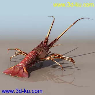 3D打印模型l龙虾的图片