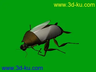 3D打印模型小强蟑螂一个~~的图片