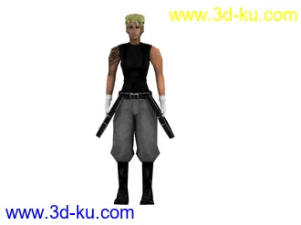 3D打印模型Hellsing的图片