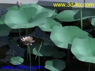 3D打印模型荷花~~(转)的图片