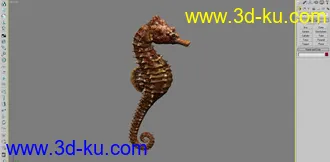 3D打印模型海马带贴图的图片