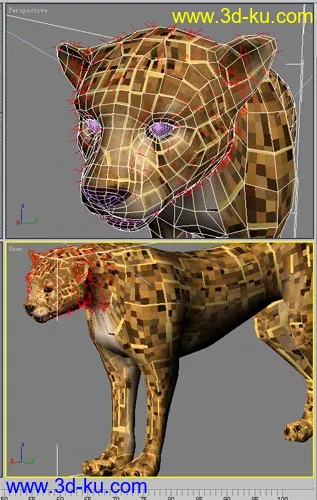 3D打印模型完美猎豹的图片