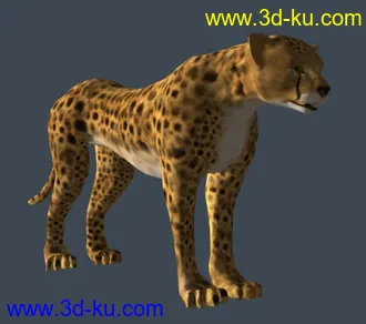 3D打印模型完美猎豹的图片