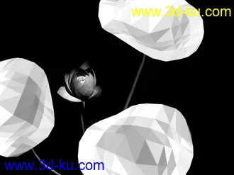 发两个花的模型的图片