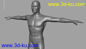 3D打印模型一个超棒的男人体的图片