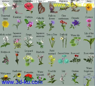 花和几个蝴蝶的模型的图片