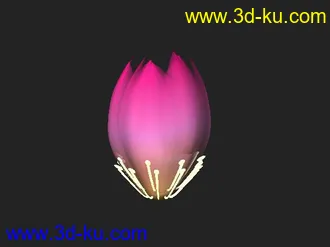 3D打印模型荷花－－出淤泥而不染的圣物的图片