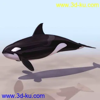 3D打印模型鲸鱼的图片