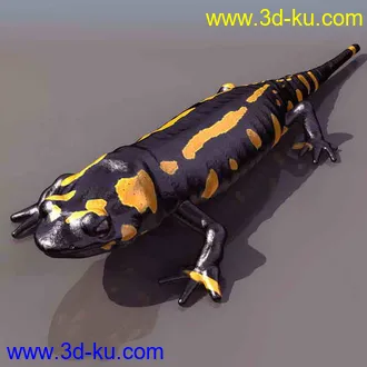 3D打印模型蝾螈的图片