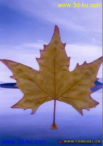 来个摩托车模型的图片