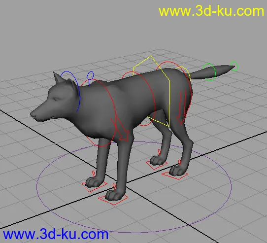 狼，带骨骼模型的图片1