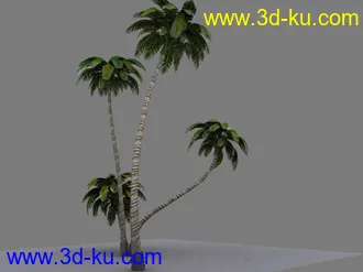 自己做的游戏椰树模型的图片