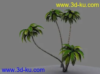 自己做的游戏椰树模型的图片