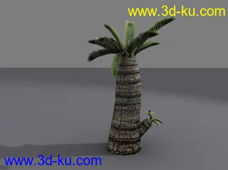 自己做的游戏椰树模型的图片
