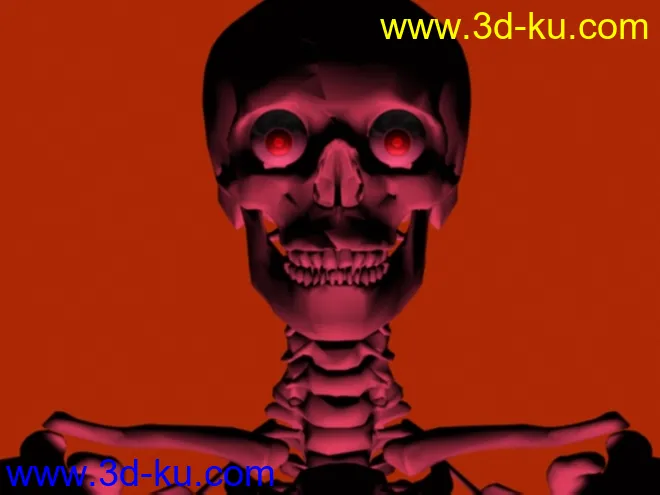人体骨骼 MAX8 MAX模型的图片5