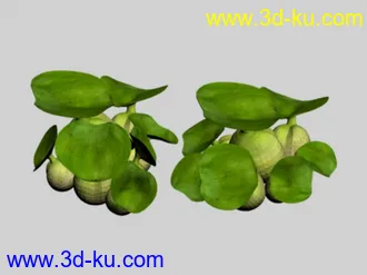 3D打印模型水葫芦的图片