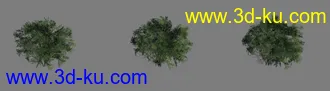 [精品]灌木_3级LOD模型_diffus+specular+normal+detail纹理的图片