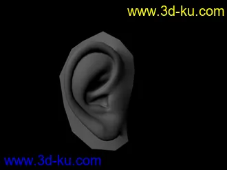 3D打印模型一只漂亮的耳朵的图片