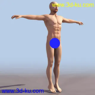 3D打印模型一套男人体+女人体的图片