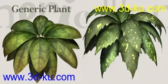 3D打印模型必须是精而简的实用植物的图片