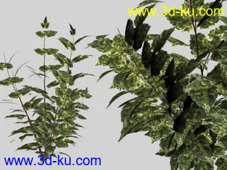 3D打印模型必须是精而简的实用植物的图片