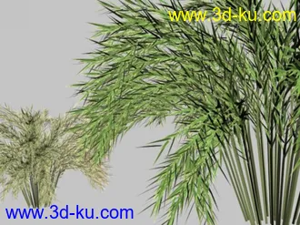 3D打印模型必须是精而简的实用植物的图片