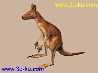 3D打印模型苦心搜集各种动物类、昆虫类（绝对精）的图片