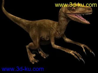 3D打印模型苦心搜集各种动物类、昆虫类（绝对精）的图片