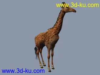 3D打印模型苦心搜集各种动物类、昆虫类（绝对精）的图片