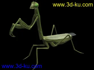 3D打印模型苦心搜集各种动物类、昆虫类（绝对精）的图片