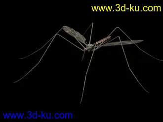 3D打印模型苦心搜集各种动物类、昆虫类（绝对精）的图片