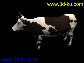 3D打印模型苦心搜集各种动物类、昆虫类（绝对精）的图片