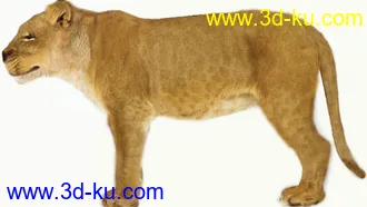 3D打印模型苦心搜集各种动物类、昆虫类（绝对精）的图片